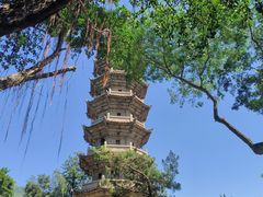 -郑和公园