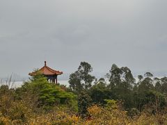 -广州莲花山旅游区