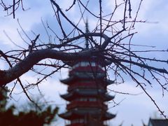 -Sarah西点·烘焙·餐厅(翰林府旗舰店)