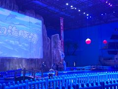 -华夏文旅海洋公园