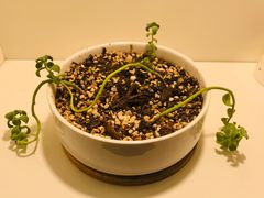 -我茶人文茶馆