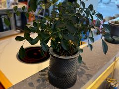 -回·龙虾铺·盆盆蟹·烧烤大排档(回龙观店)