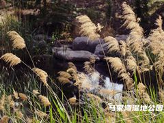 -马家湾湿地公园