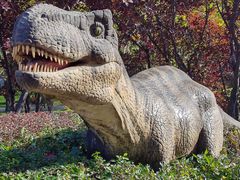 -北京野生动物园