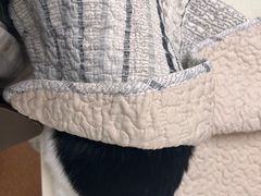 -宠颐生中康贝怡动物医院