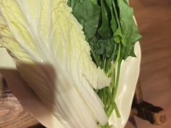-芦月轩羊蝎子(劲松店)