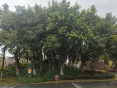 -厦门园林博览苑