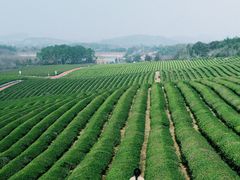 -雅达·阳羡溪山小镇中心