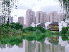 -洋湖国家湿地公园