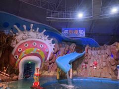 -烟台海昌鲸鲨海洋公园