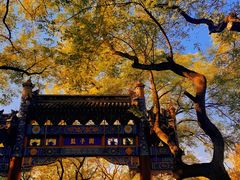 -北京国子监胡同