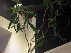 -春天来了(印象新天地店)