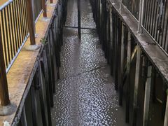 -崖口红树林海鲜餐厅
