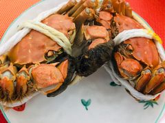 -黄记大闸蟹专卖店·活蟹·醉蟹