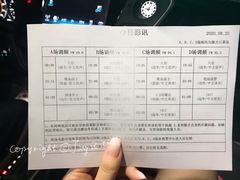 -枫花园汽车电影院(朝阳公园店)