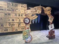 -奥斯卡升龙国际影城(RealD Cinema)