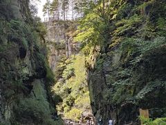 -茅兰沟国家森林公园
