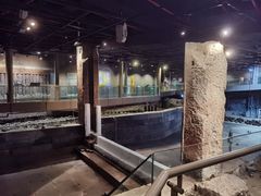 -元代水闸遗址博物馆