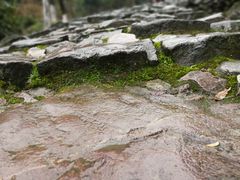 -仙霞关景区