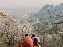 -北京凤凰岭