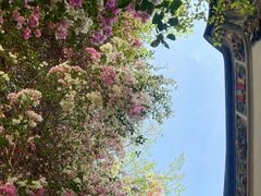 -深圳国际园林花卉博览园