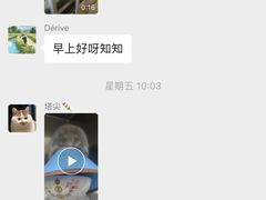 -泰洋动物医院·神经专科·磁共振·CT(天河公园总院)