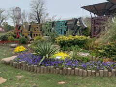 -上海长兴岛郊野公园