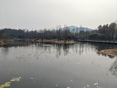 -长广溪湿地公园