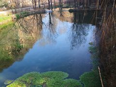 -沕沕水生态风景区