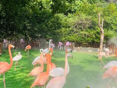 -上海野生动物园