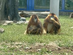 -大连森林动物园