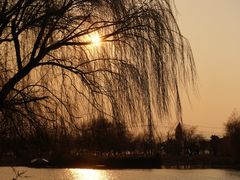 -呈贡滇池生态湿地公园