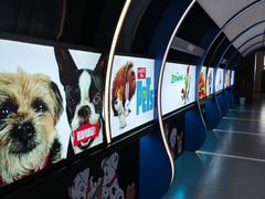 -万达影城(汉街万达广场IMAX店)