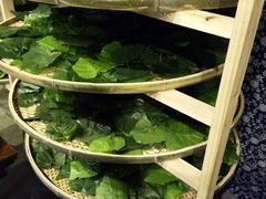 -横店影视城梦幻谷园区