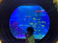 -沈阳海洋探索中心