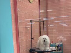 -FAELING PETS美天灵宠物(合生汇店)