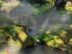 -Chom Cafe and Restaurant