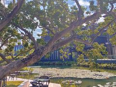 -星巴克(深圳前海企业公馆店)