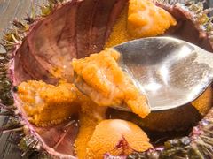 -红叶日料·放题·海胆·定食(星海店)