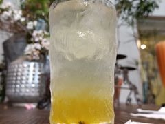 -吉丁鸟咖·异宠·寄养