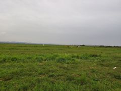 -敕勒川草原
