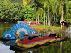 -西双版纳原始森林公园