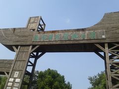 -溱湖国家湿地公园