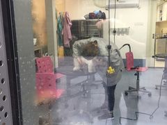 -瑞鹏宠物医院·眼科·皮肤·中兽医(大悦城分院)