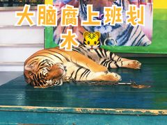 -东芭乐园