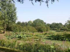 -东郊湿地公园