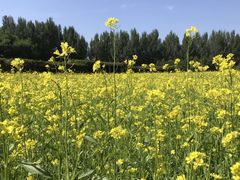 -长春公园(普阳街道)