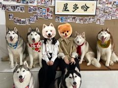 -星多哈·狗咖·拼豆·咖啡