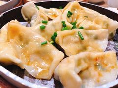 韭菜饺子-一溜下