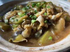 海螺炖茄子-渔娘渔家丹东海鲜(东直门店)